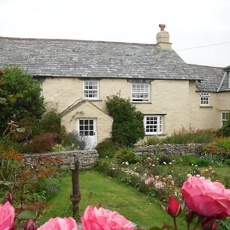 Higher Tresmorn Farm Bed and Breakfast Crackington Haven Buitenkant foto