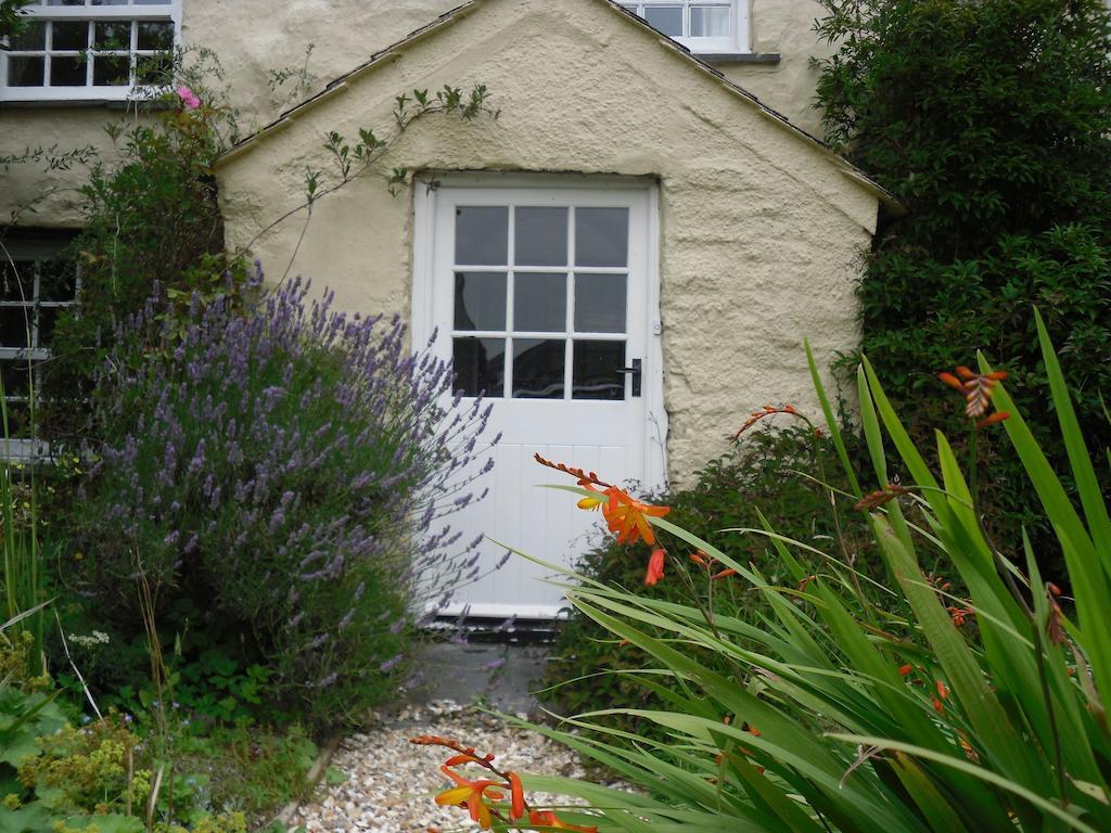 Higher Tresmorn Farm Bed and Breakfast Crackington Haven Buitenkant foto