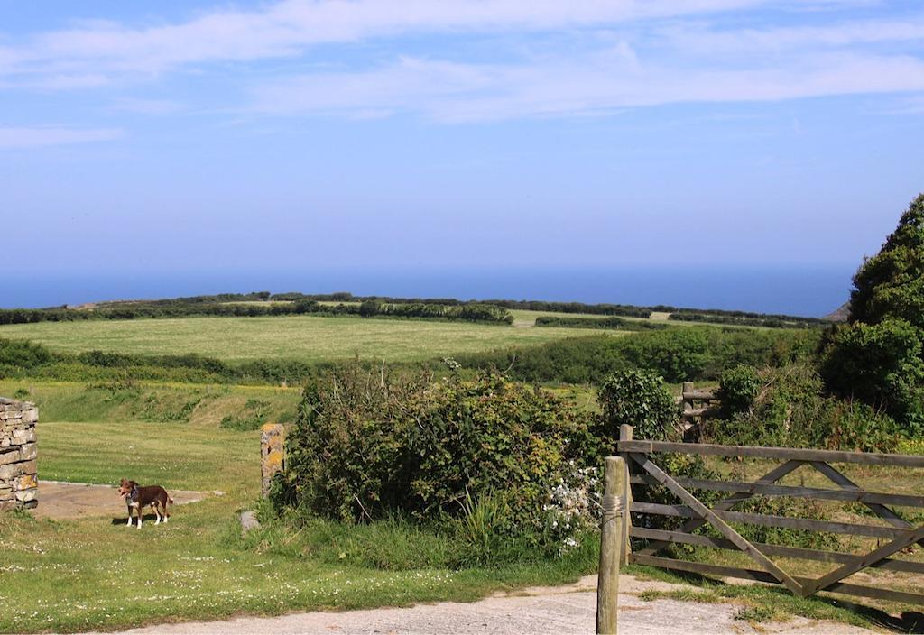 Higher Tresmorn Farm Bed and Breakfast Crackington Haven Buitenkant foto