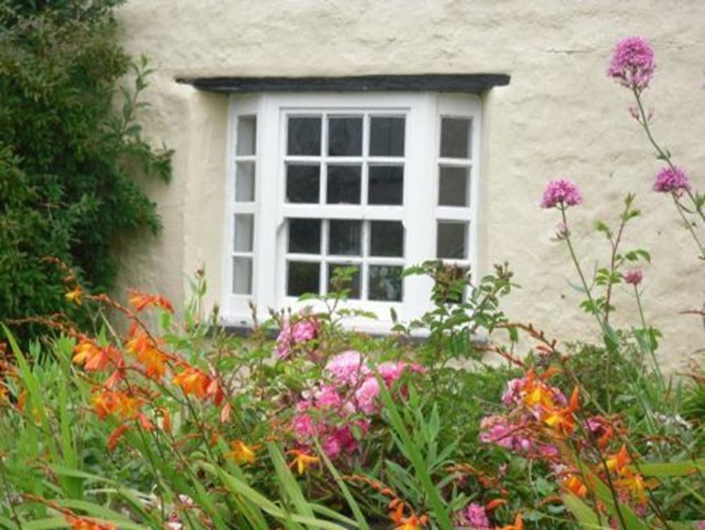 Higher Tresmorn Farm Bed and Breakfast Crackington Haven Buitenkant foto